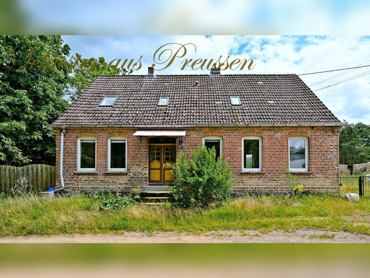 Schuster aus Preussen - Famoses Landhaus für den Pferdefreund - 1,7 ha Grundstück in malerischen Ort