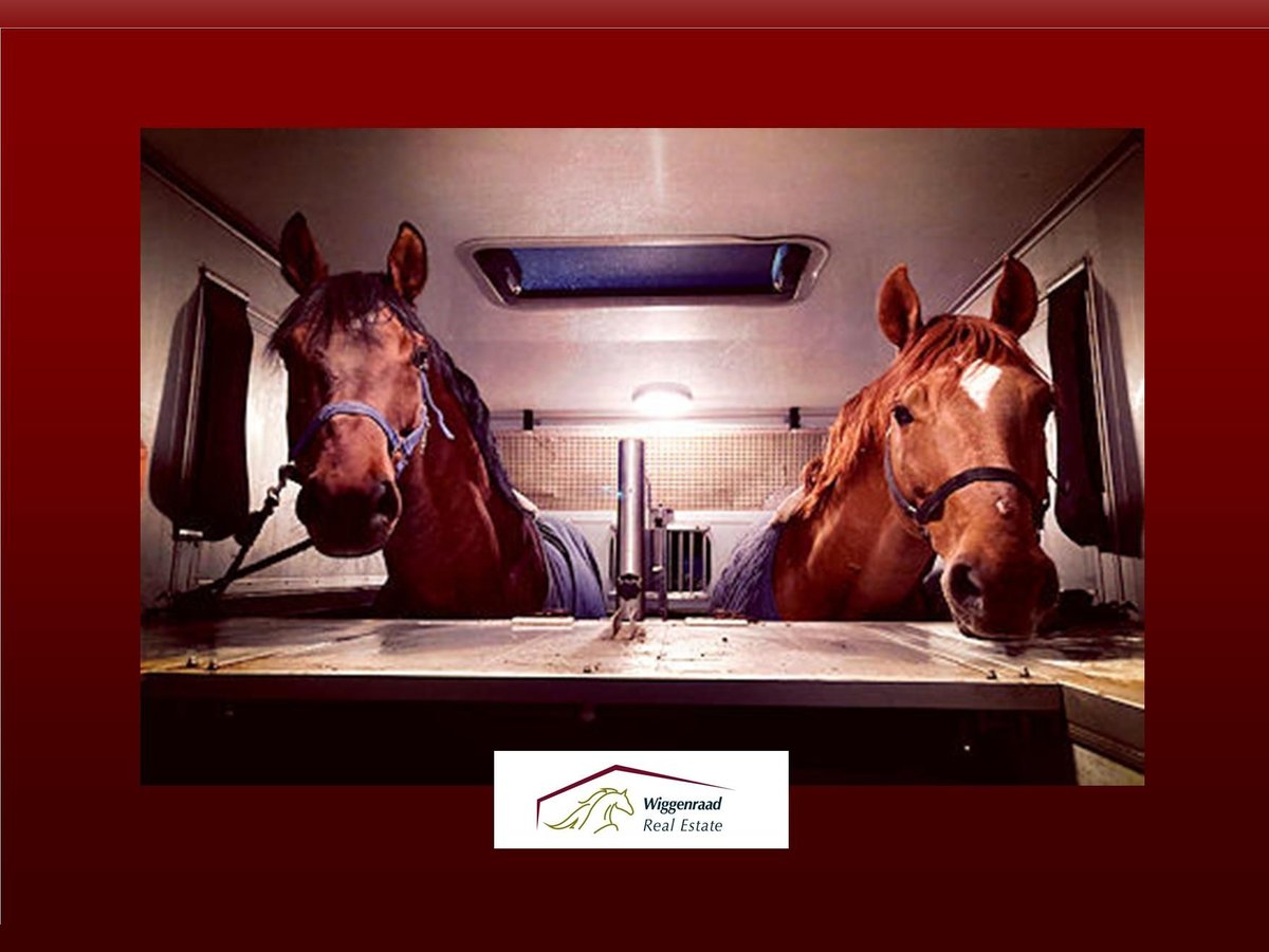 Suche: Reitanlage ab 15 Boxen umfeld München oder Frankfurt Suche: Reitanlage ab 15 Boxen umfeld München oder Frankfurt