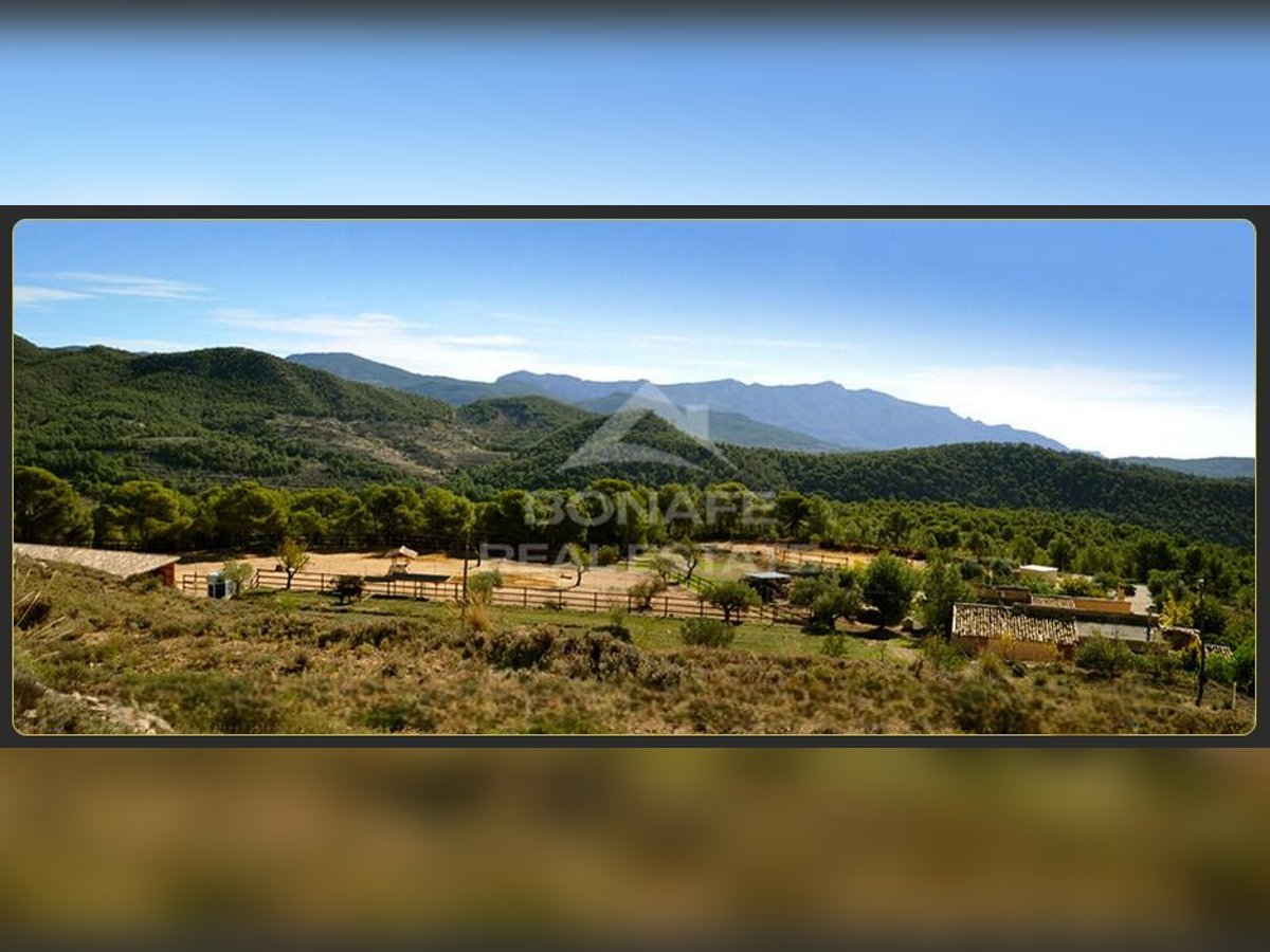 Un paraíso ecuestre entre pinos con vistas al mar en Jijona (Alicante)