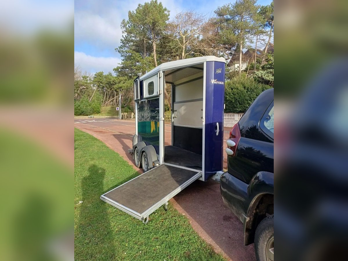 Ifor Williams HB 403