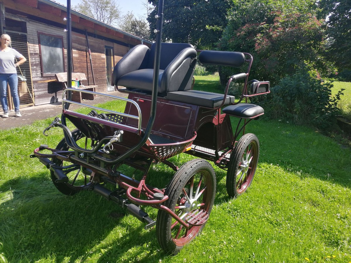 Pferdekutsche / Kombiwagen