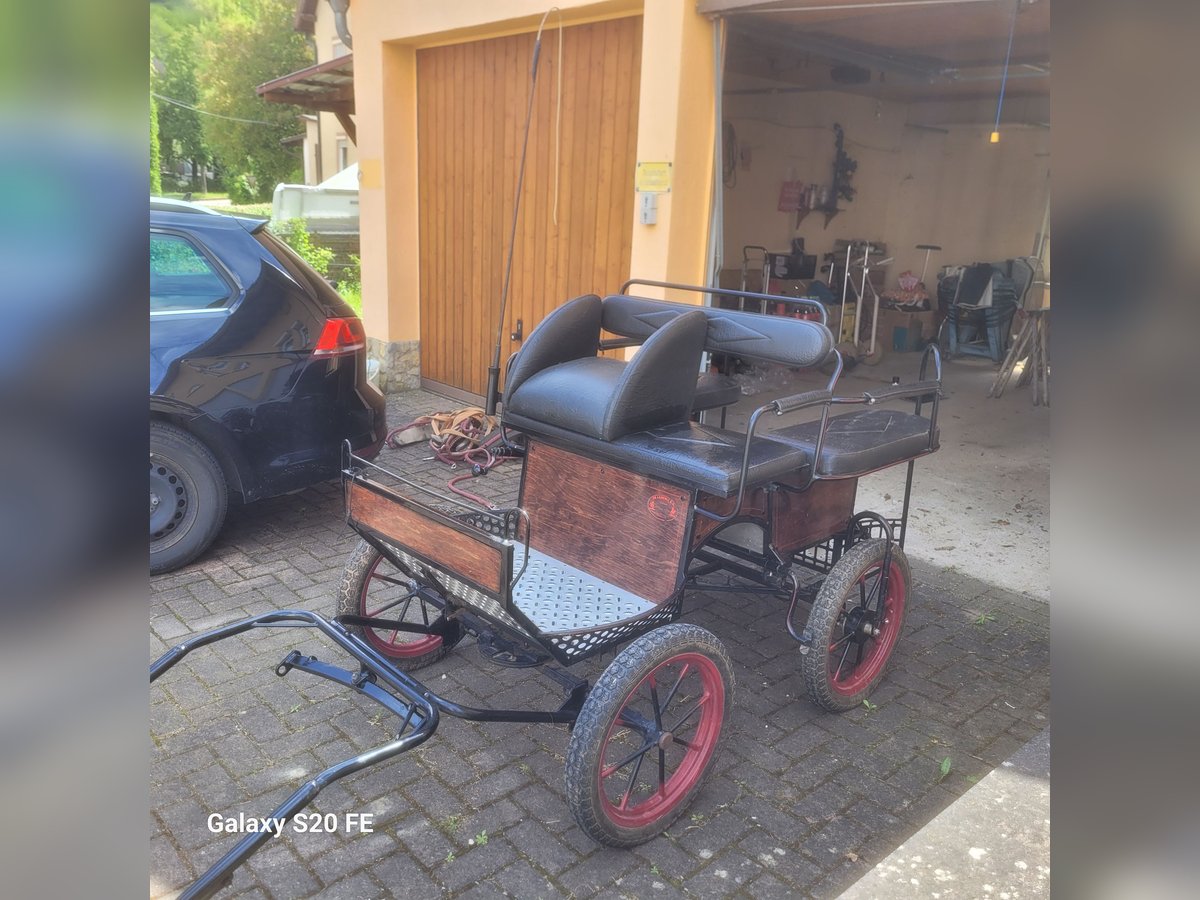 Ponykutsche, Wagonette