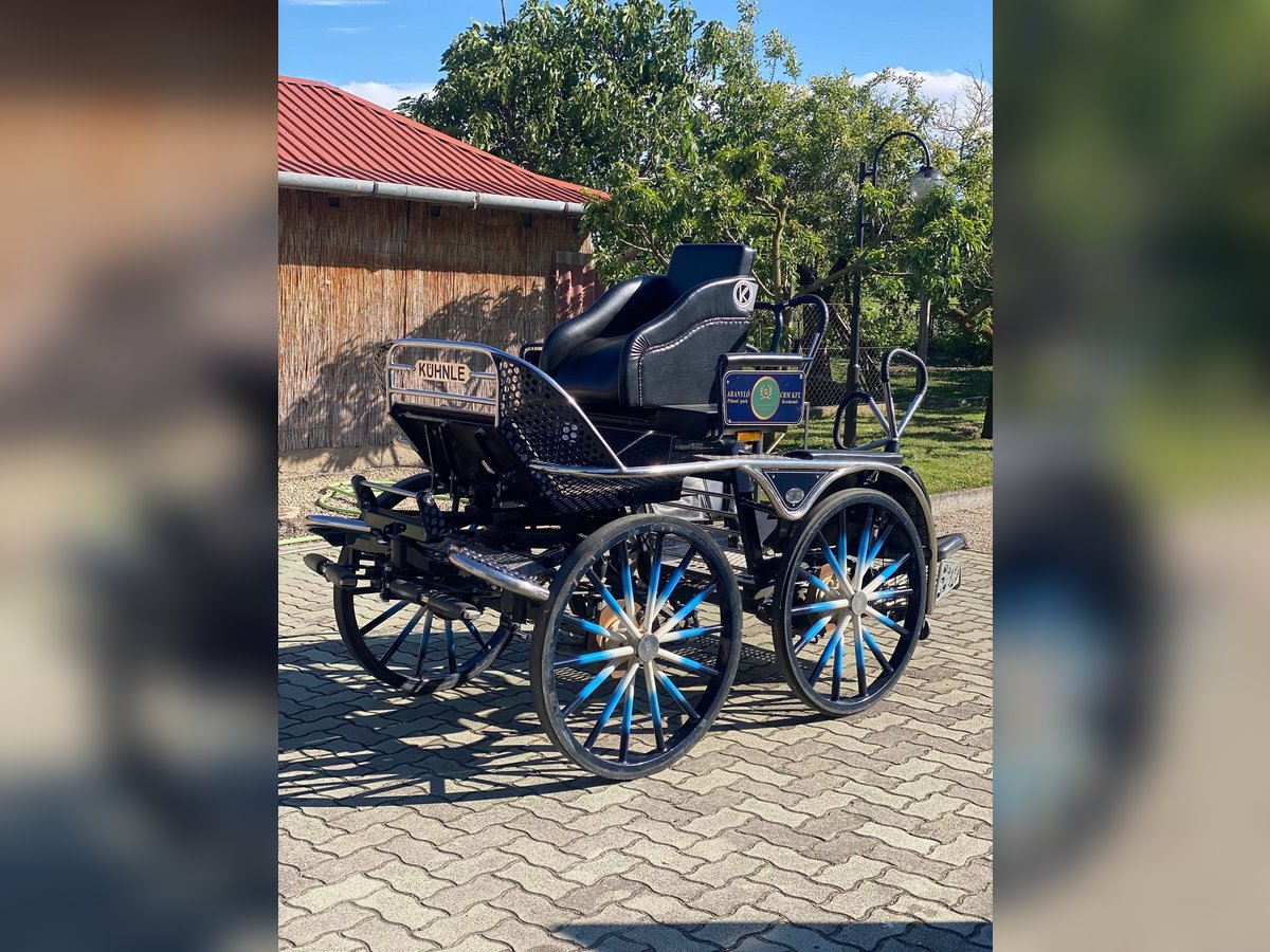 KÜHNLE MARATHON TEAM CARRIAGE