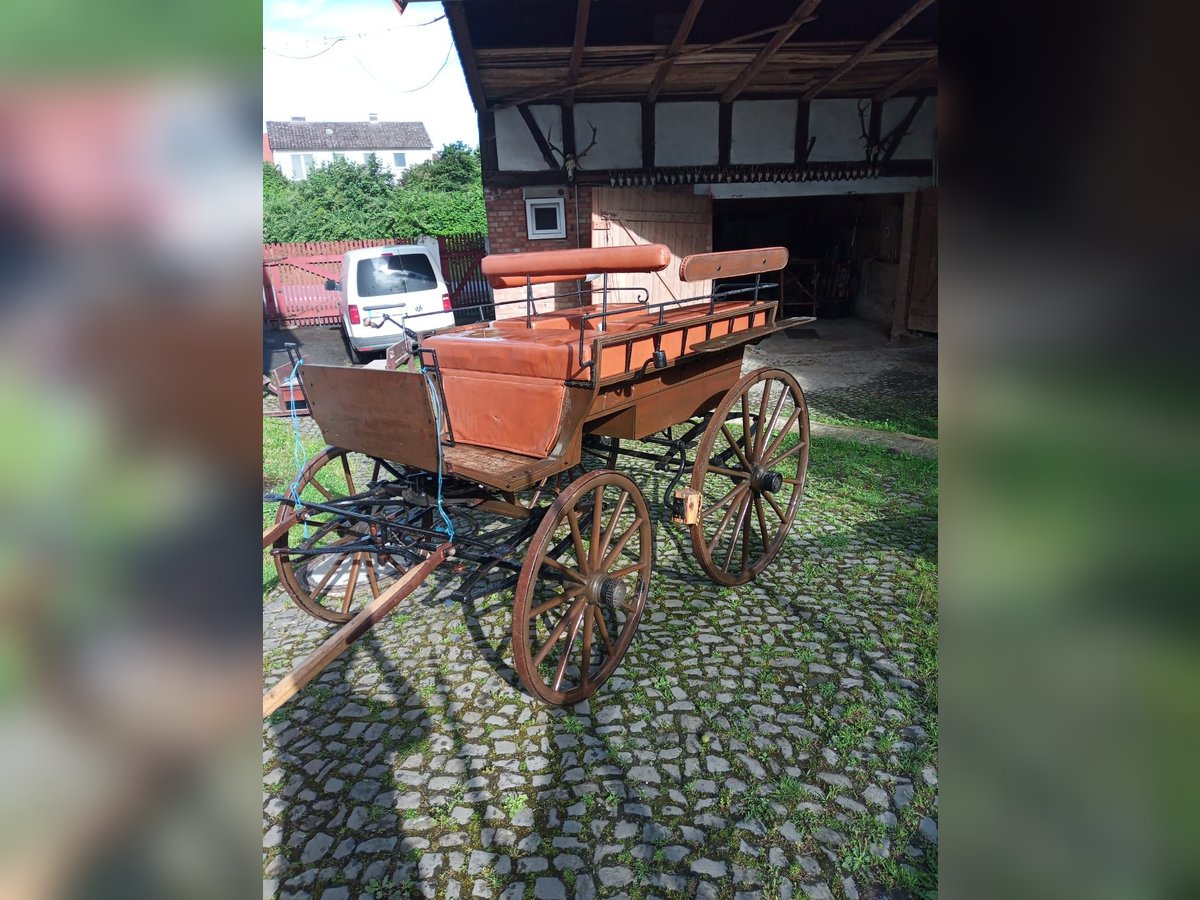 Kutshen, Pferdeschlitten