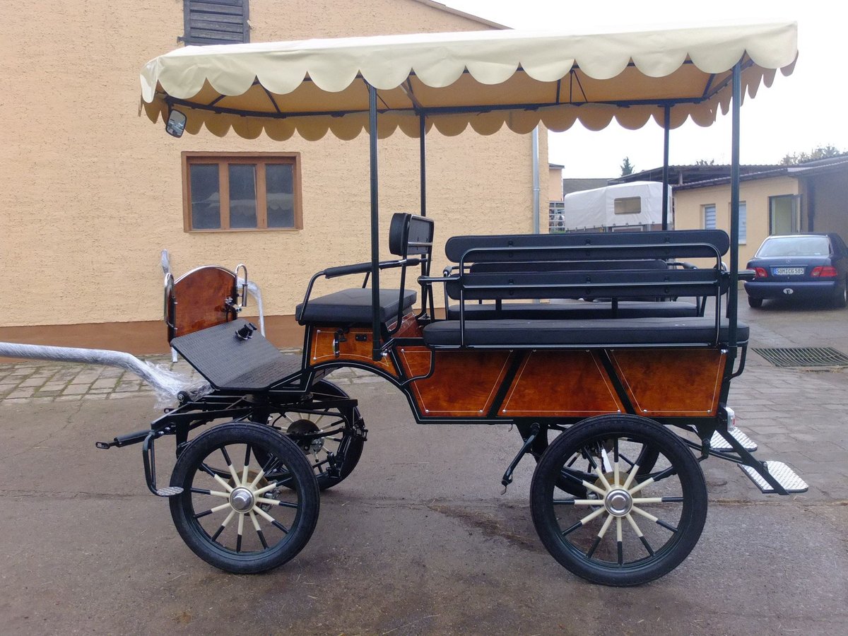 Neue Wagonette m. E-Anlage/Dach