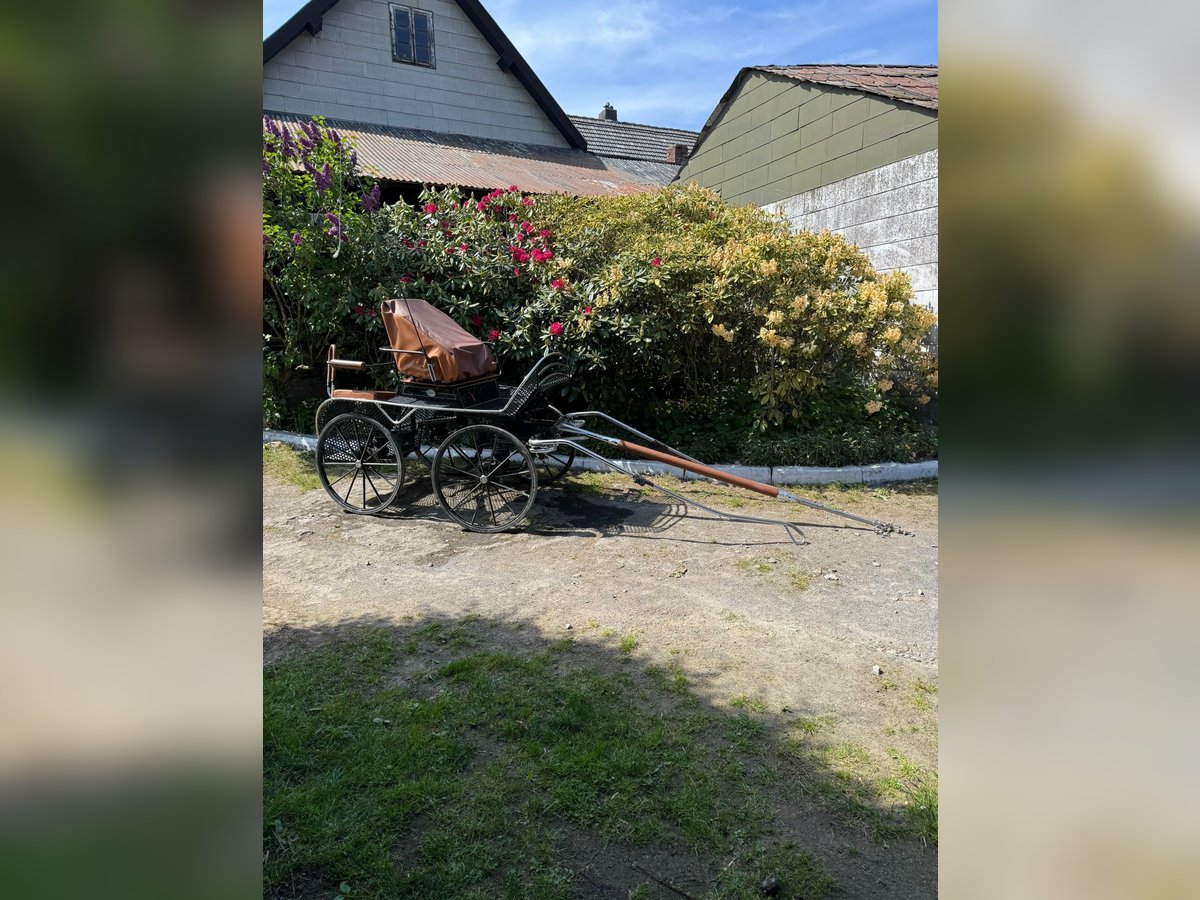Rombach Kutschen zum verkaufen 