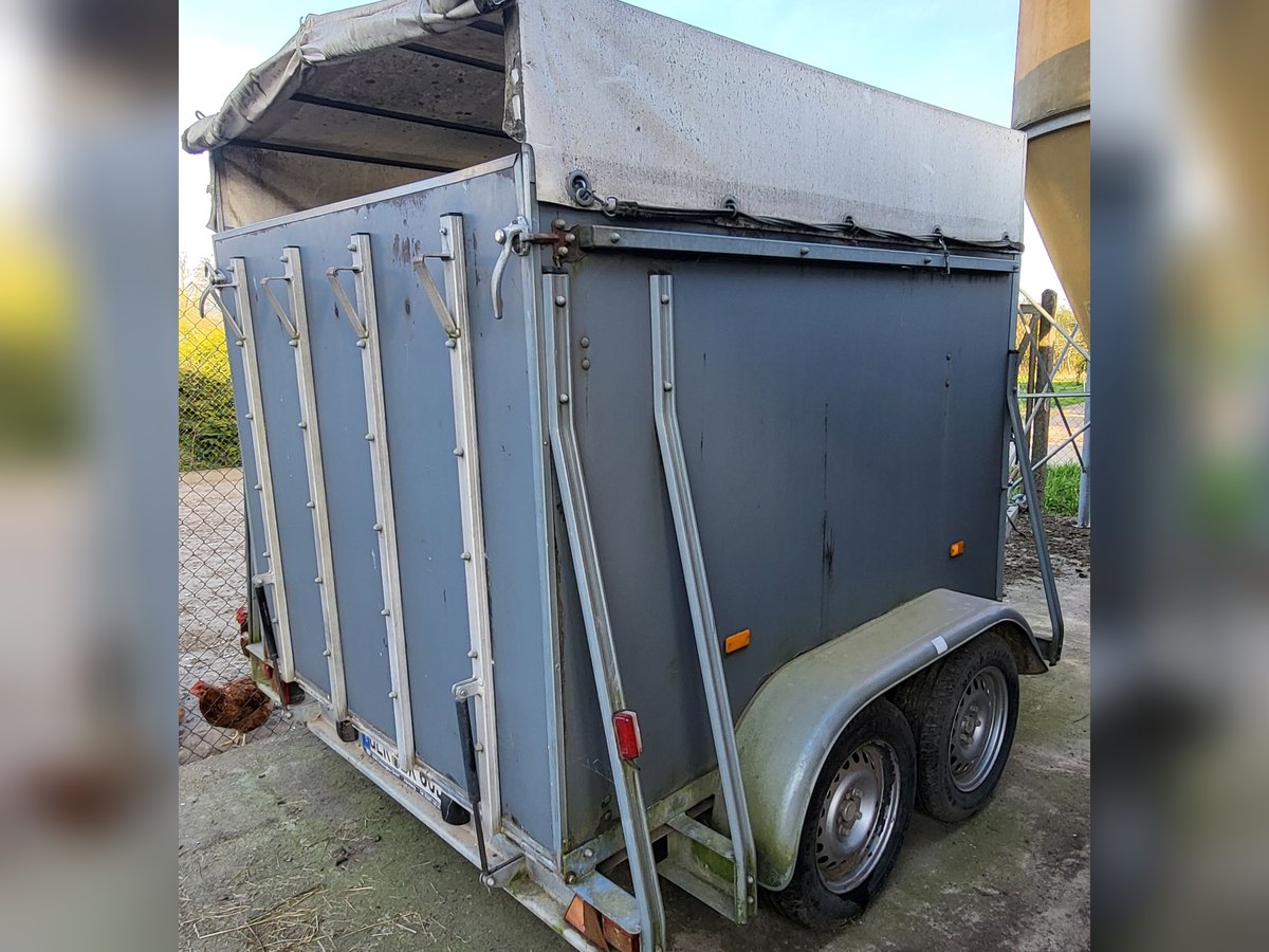 Pferdeanhänger zu verkaufen