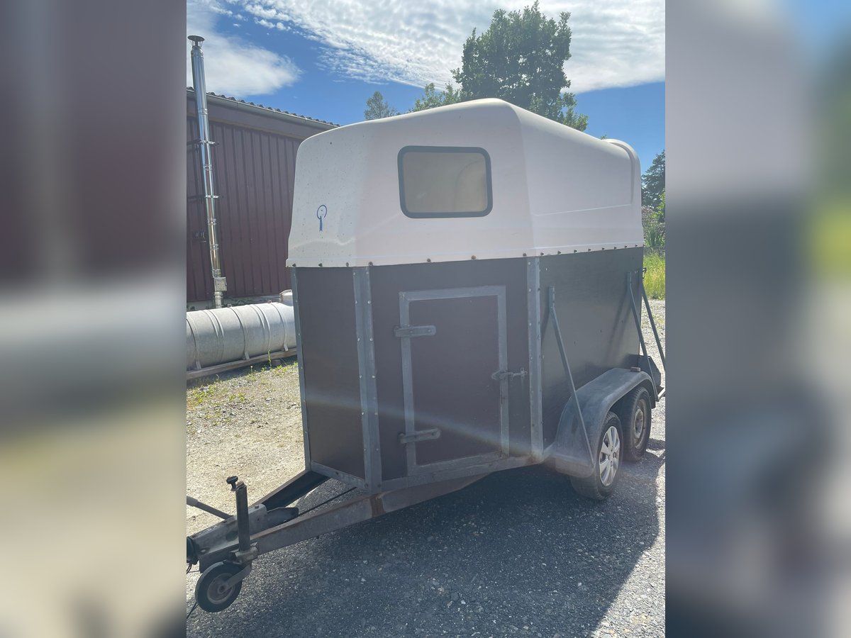 Pferdehänger 2er Poly Holz