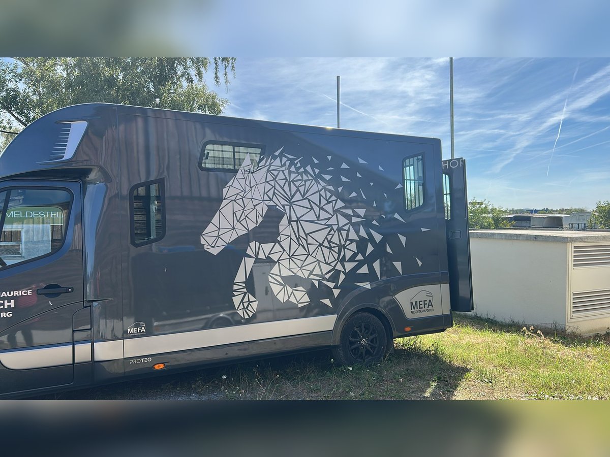 Pferdetransporter 3,5 t