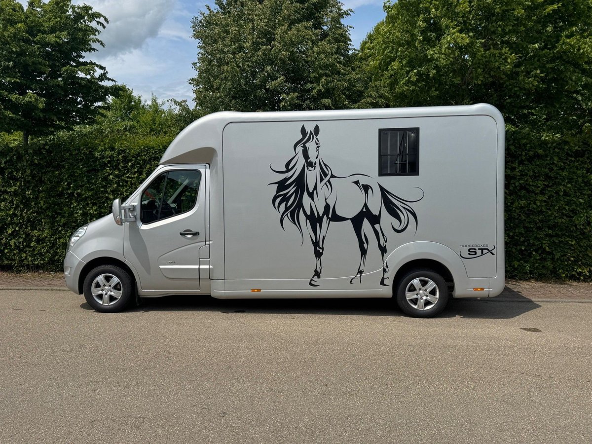 Pferdetransporter STX Automatik Tiertransporter Viehtransporter Horsetruck Paardencamionette