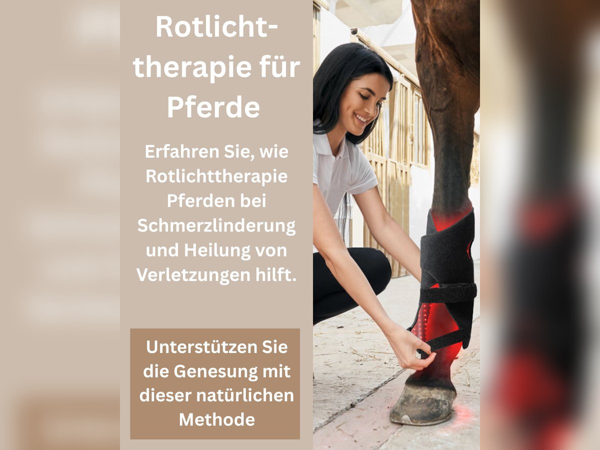  2 Stück Rotlicht Gamaschen