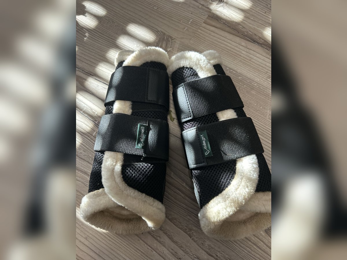 Dressurgamaschen Etalon Vert vorne Vollblut