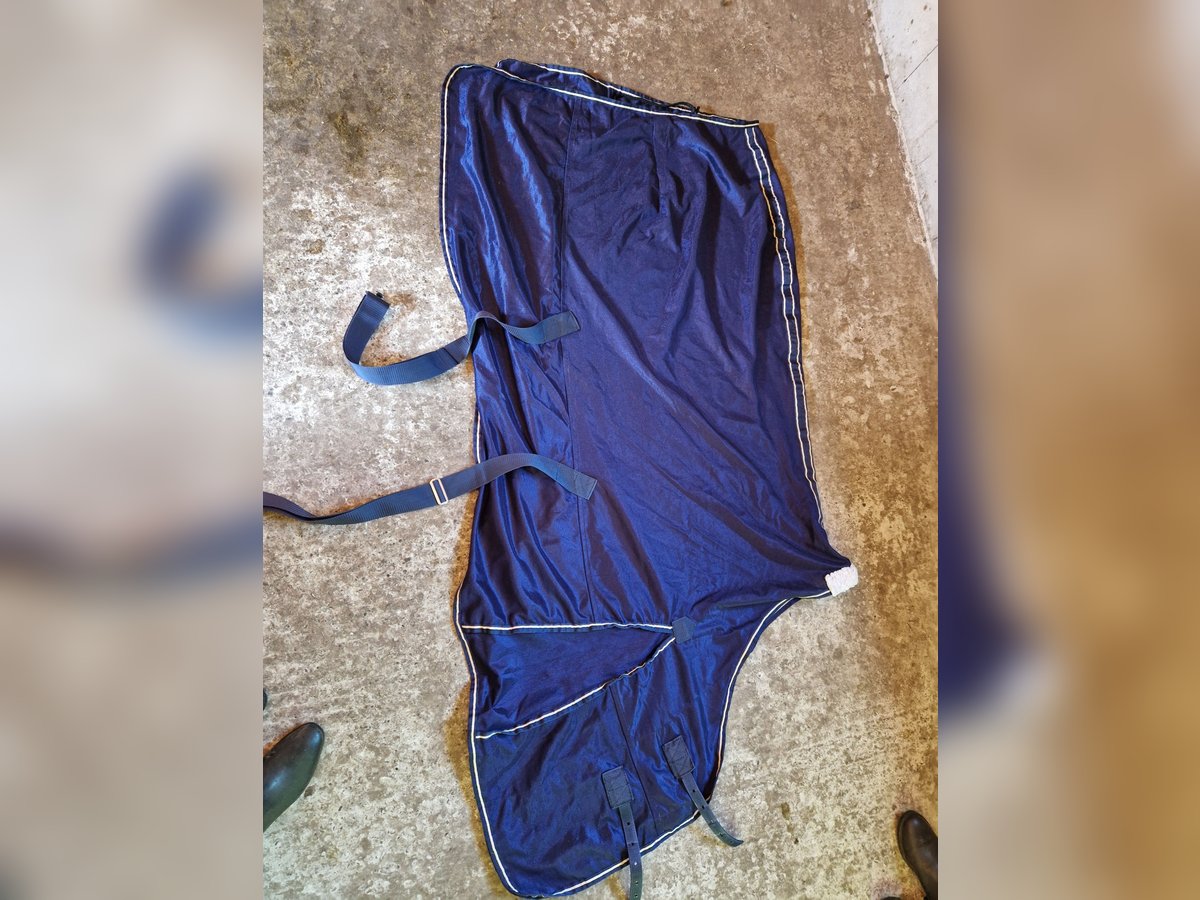 Equest fliegendecke 145cm blau 