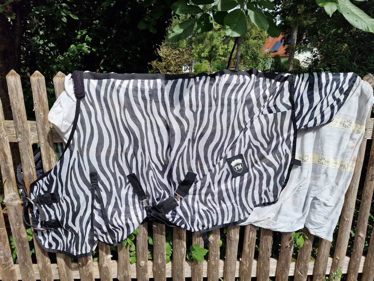 Fliegendecke, Zebradecke (Schlumpf)