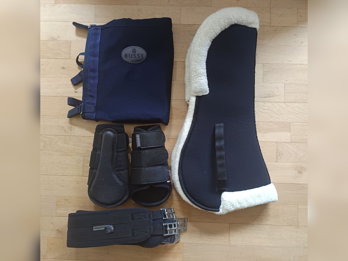 Longierdecke von Busse