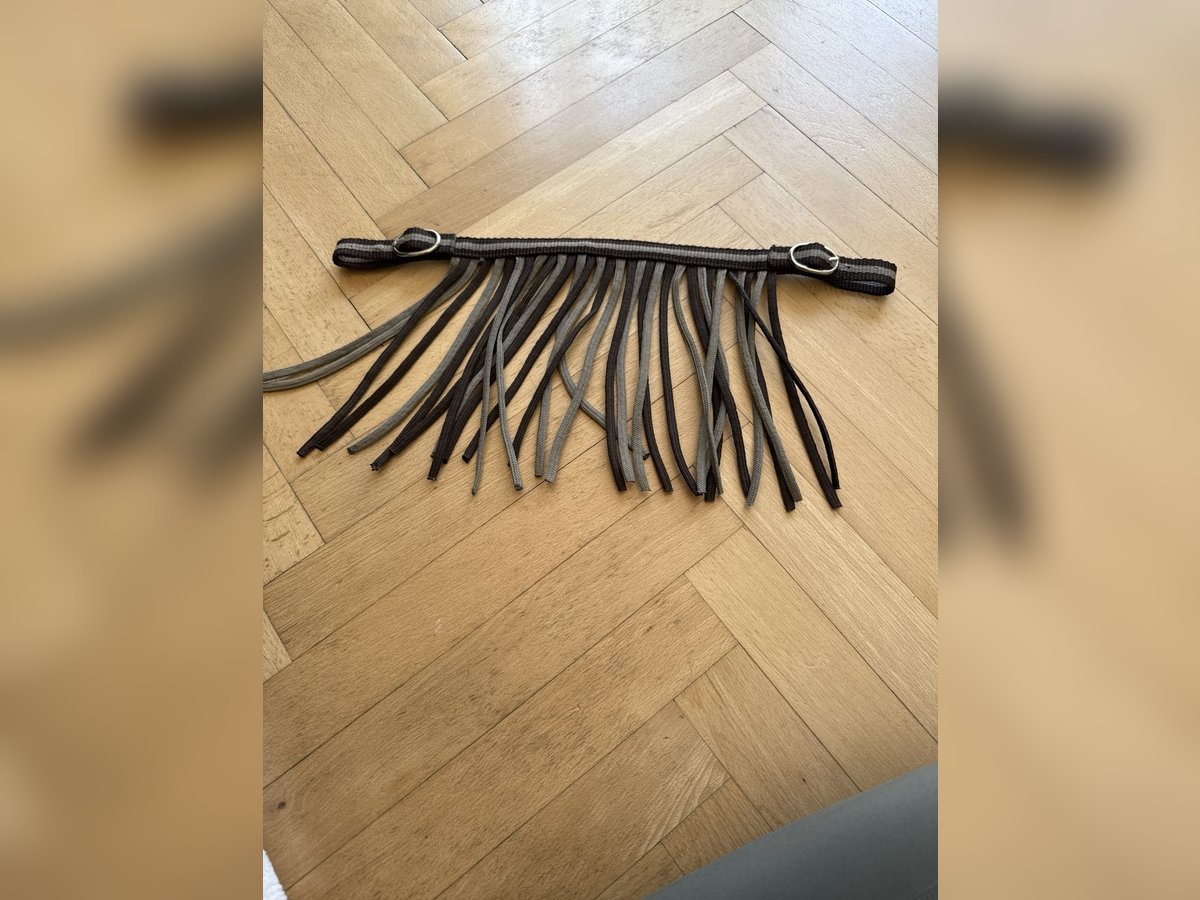 Shetty Fliegenfransen 
