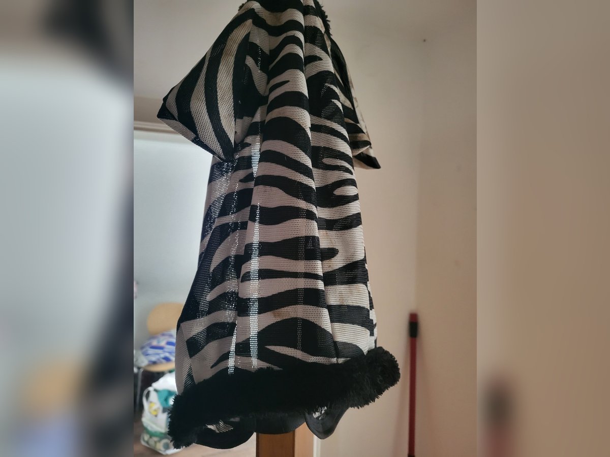 2 mal drauf gehabt wie neu 100% Heil für Pony 2 mal drauf gehabt wie neu 100% Heil für Pony