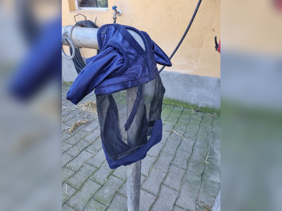 Fliegenmaske