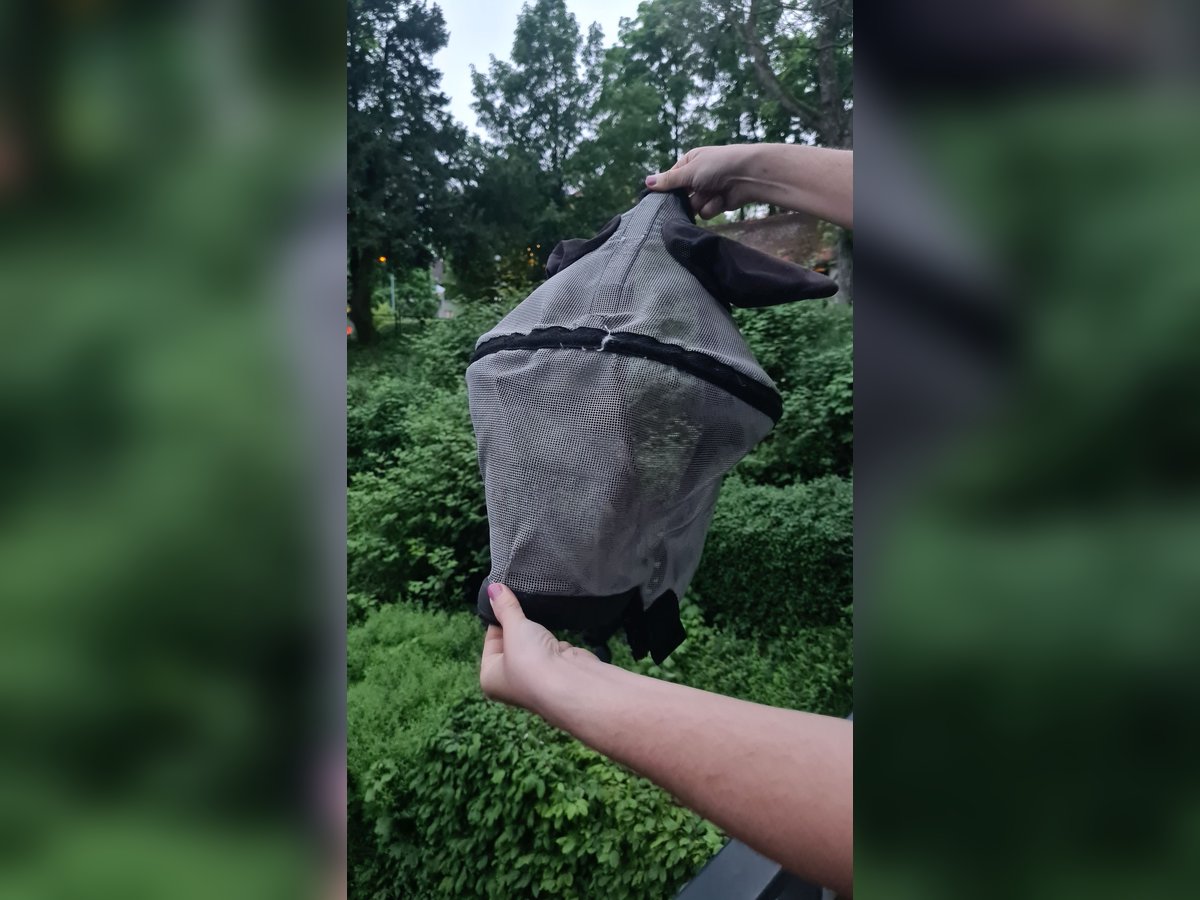Harry Horse Fliegenmaske mit Abstandsring und Nüsternschutz
