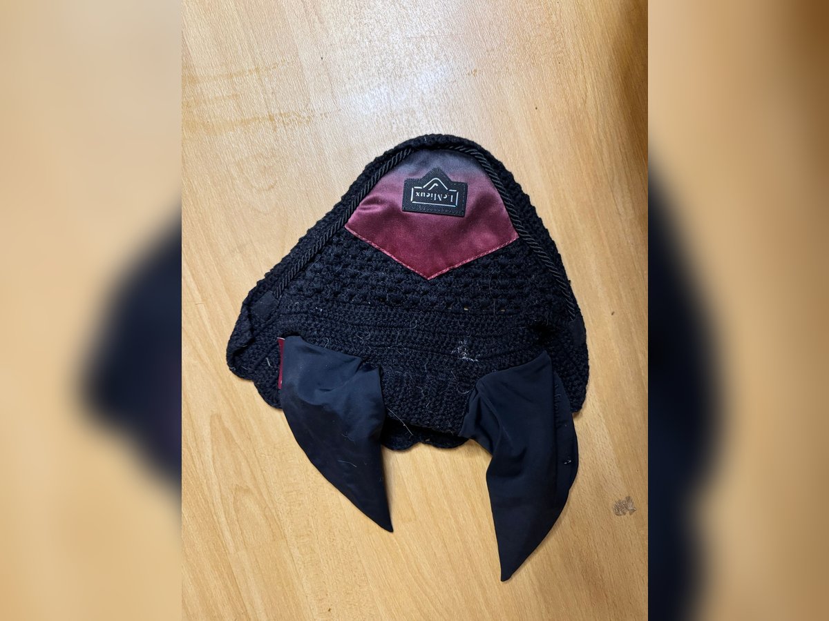 Fliegenhaube zu verschenken Lemieux Fliegenhaube zu verschenken Lemieux