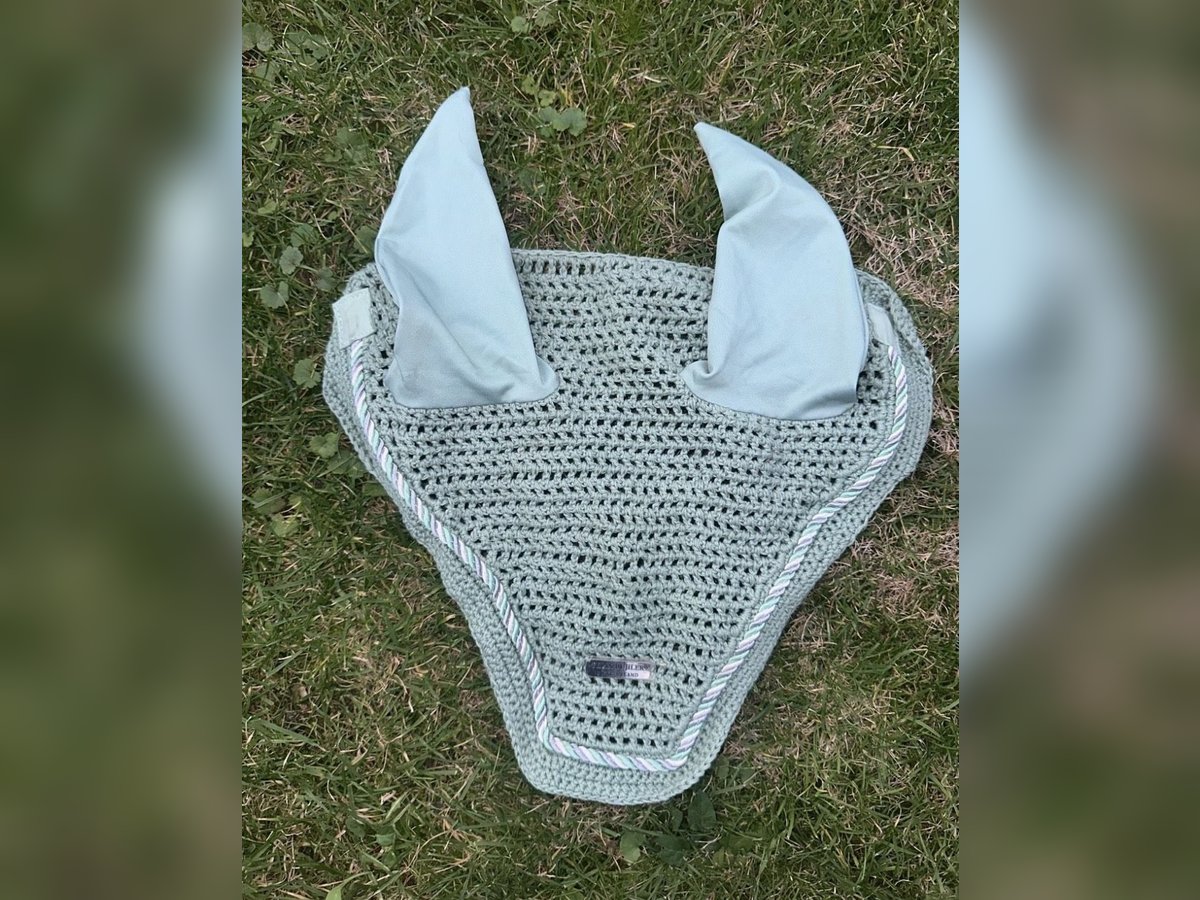 Fliegenohren mint-grün WB