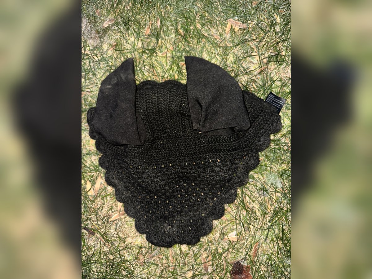 Fliegenohren schwarz WB