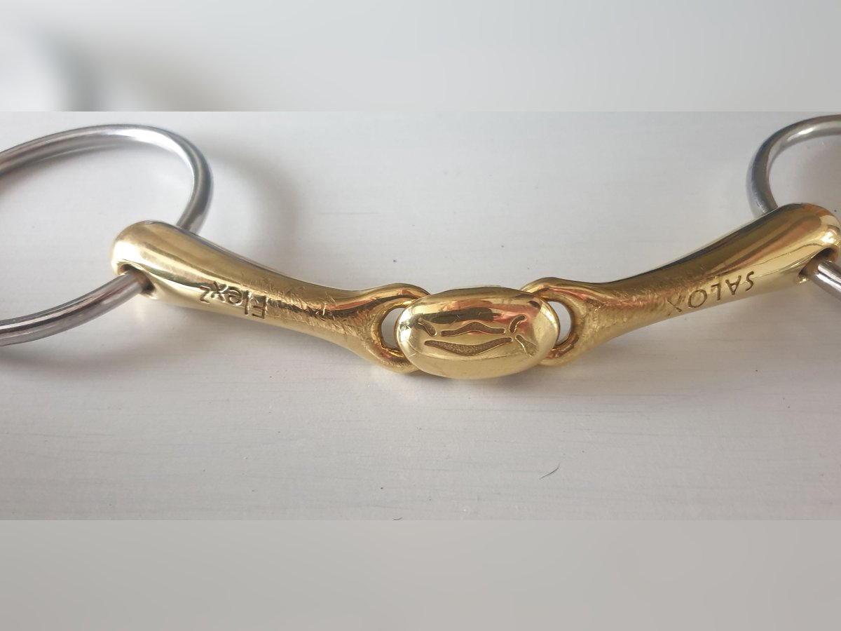 Neue Schule Turtle Top 