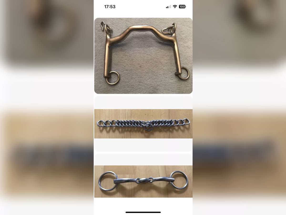 Kandare LorenziniAnatomisch 14,5cm 7cm Anzüge+Kinnkette+Unterlegtrense Neuwertig
