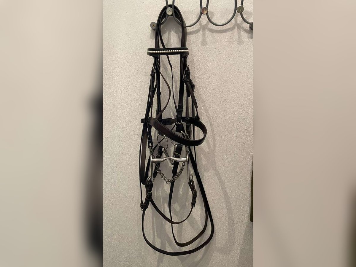 Kandare WB Leder schwarz. mit Gebissen