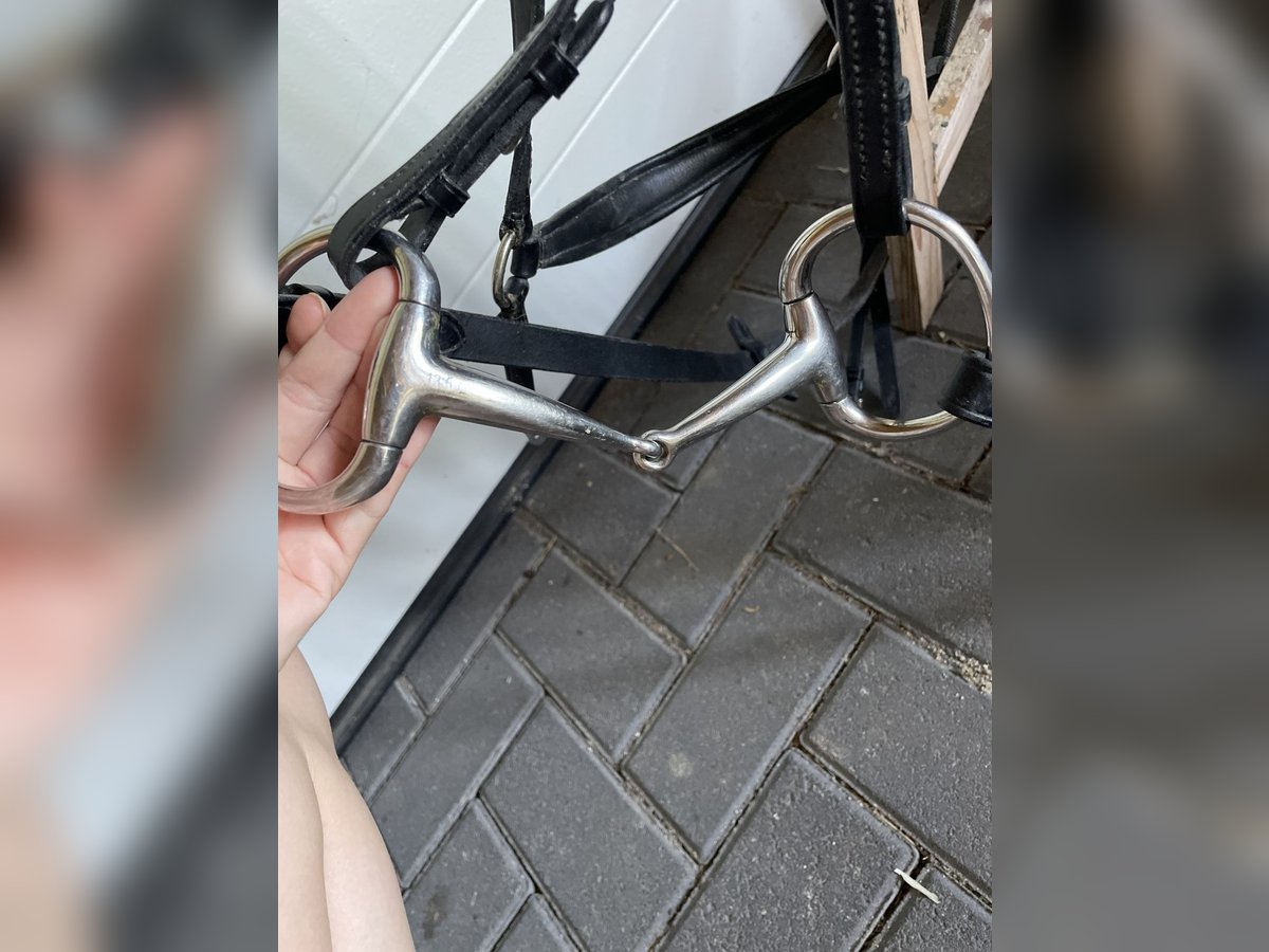 Busse Olivenkopfgebiss einfach gebrochen (2 mal da)