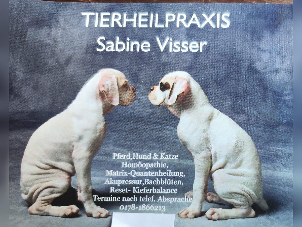 Tierheilpraxis 