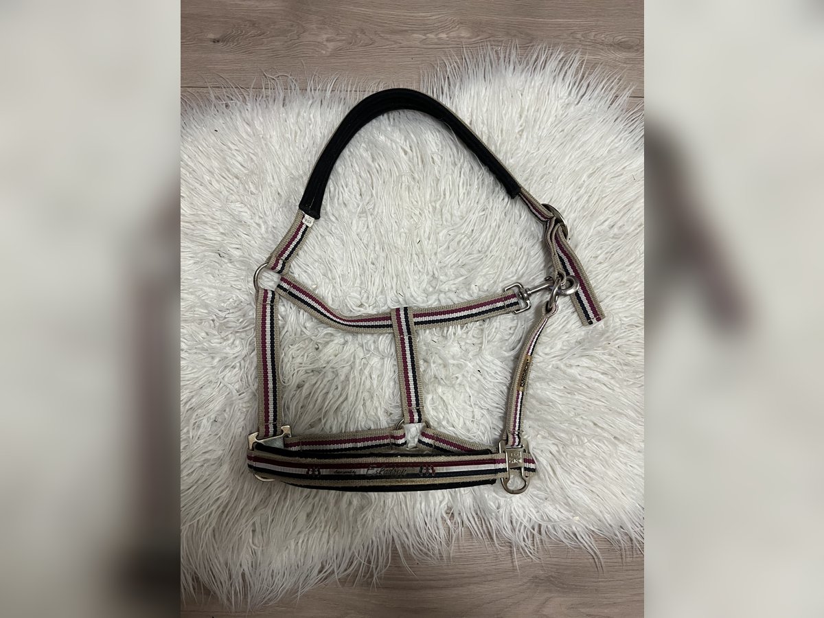 Eskadron Halfter Full Warmblut Rot Beige Weiß Blau