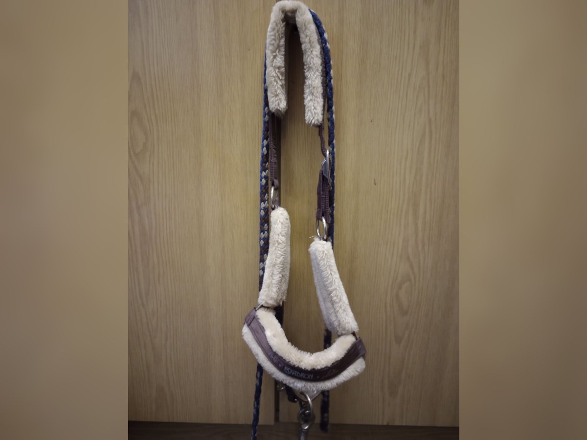 Eskadron Halfter mit Strick Eskadron Halfter mit Strick