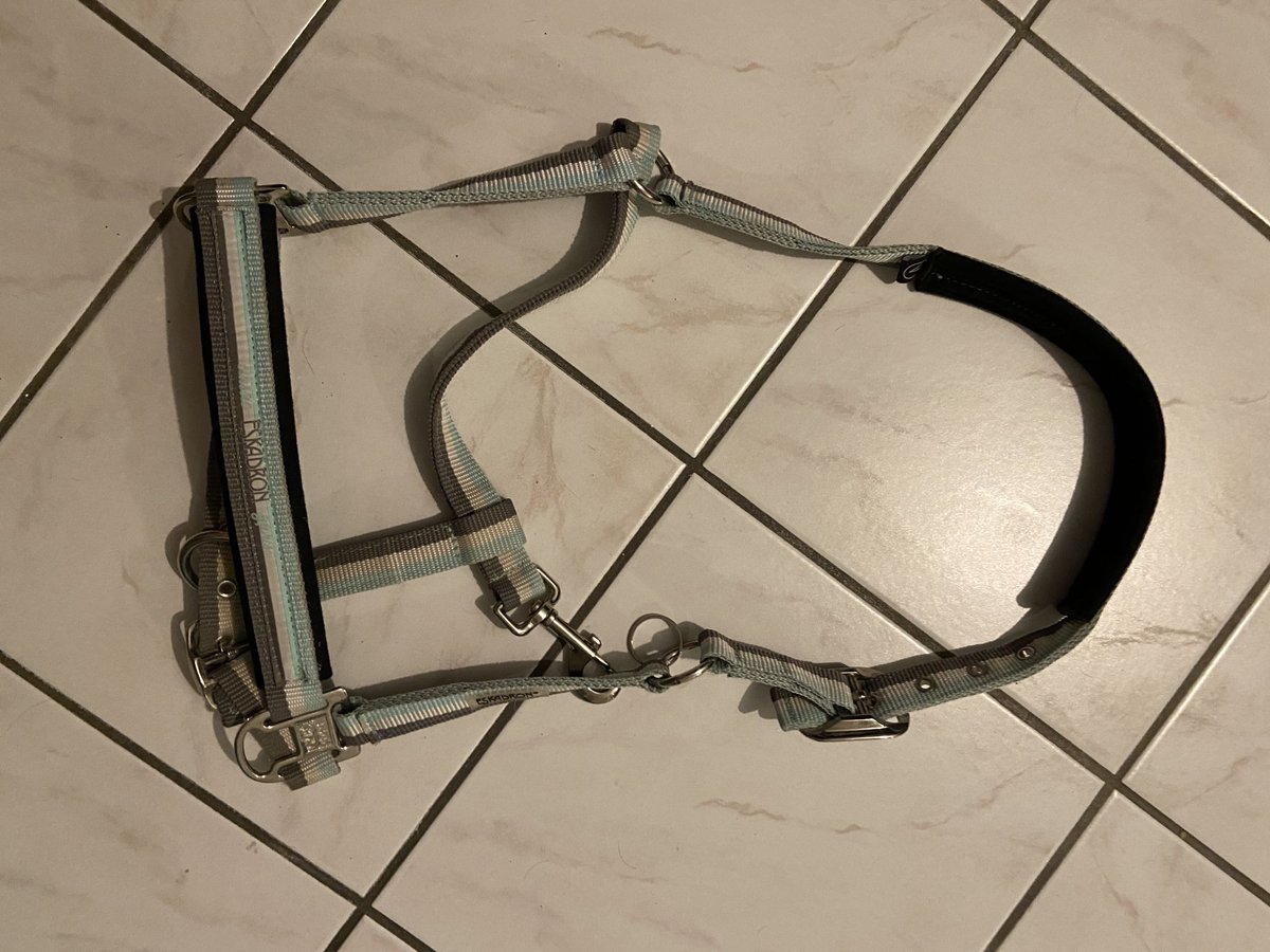 Eskadron Halfter Vollblut  Eskadron Halfter Vollblut