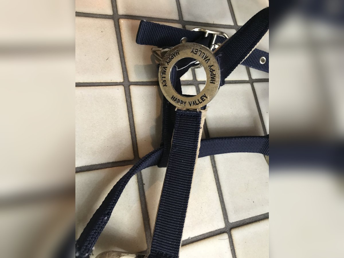 HV Polo Halfter WB / Full