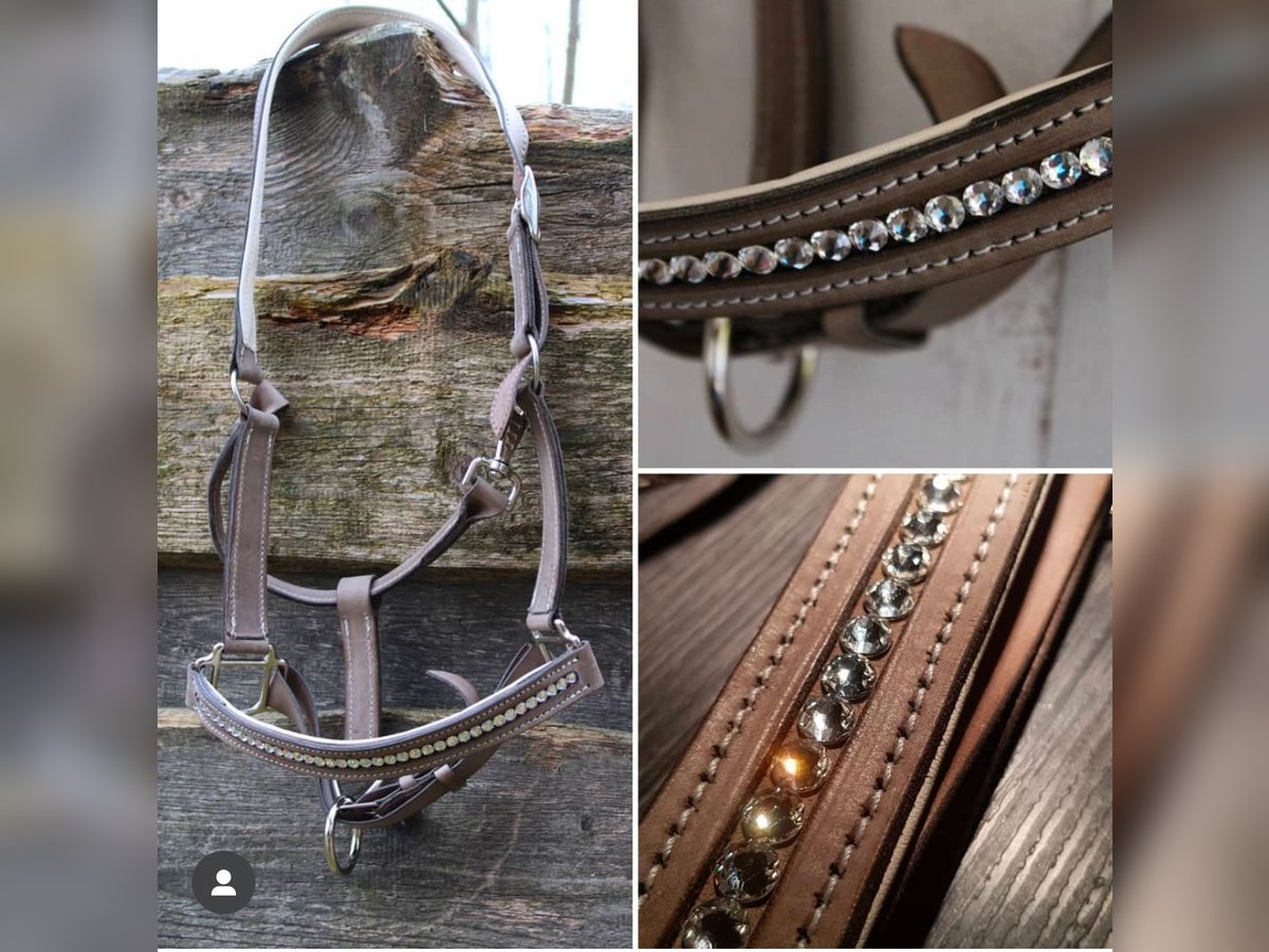Lederhalfter Neu, Swarovski, WB