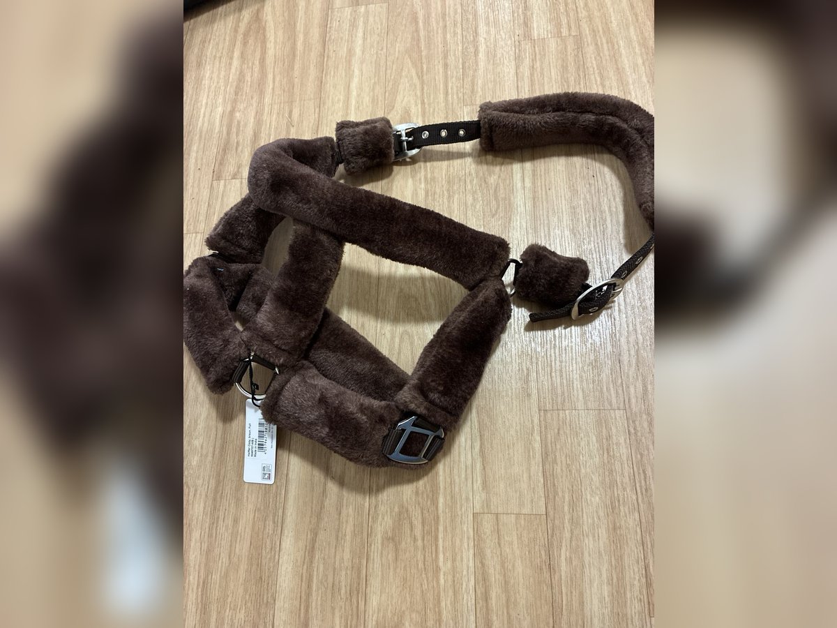 Waldhausen Halfter WB Teddy braun NEU