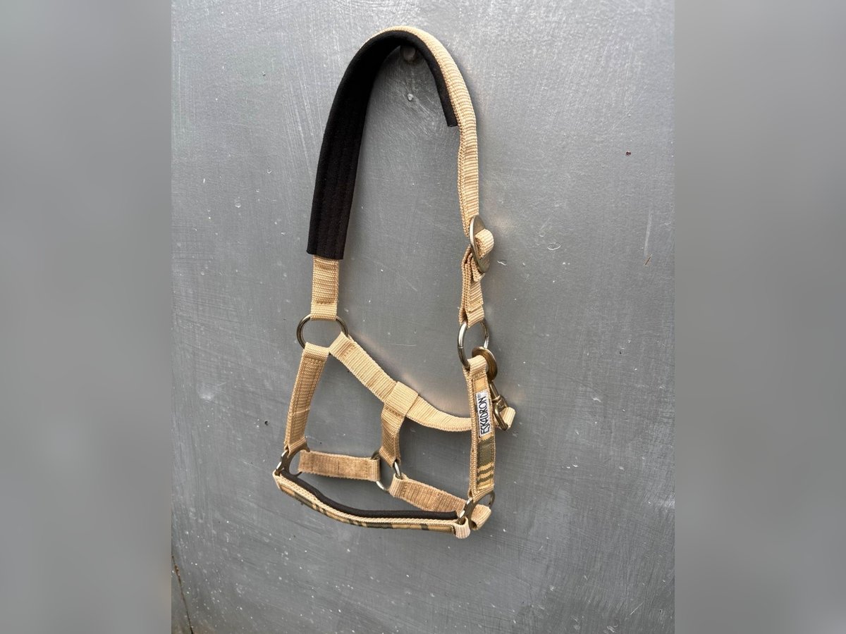 Eskadron beige Karo Halfter Pony 