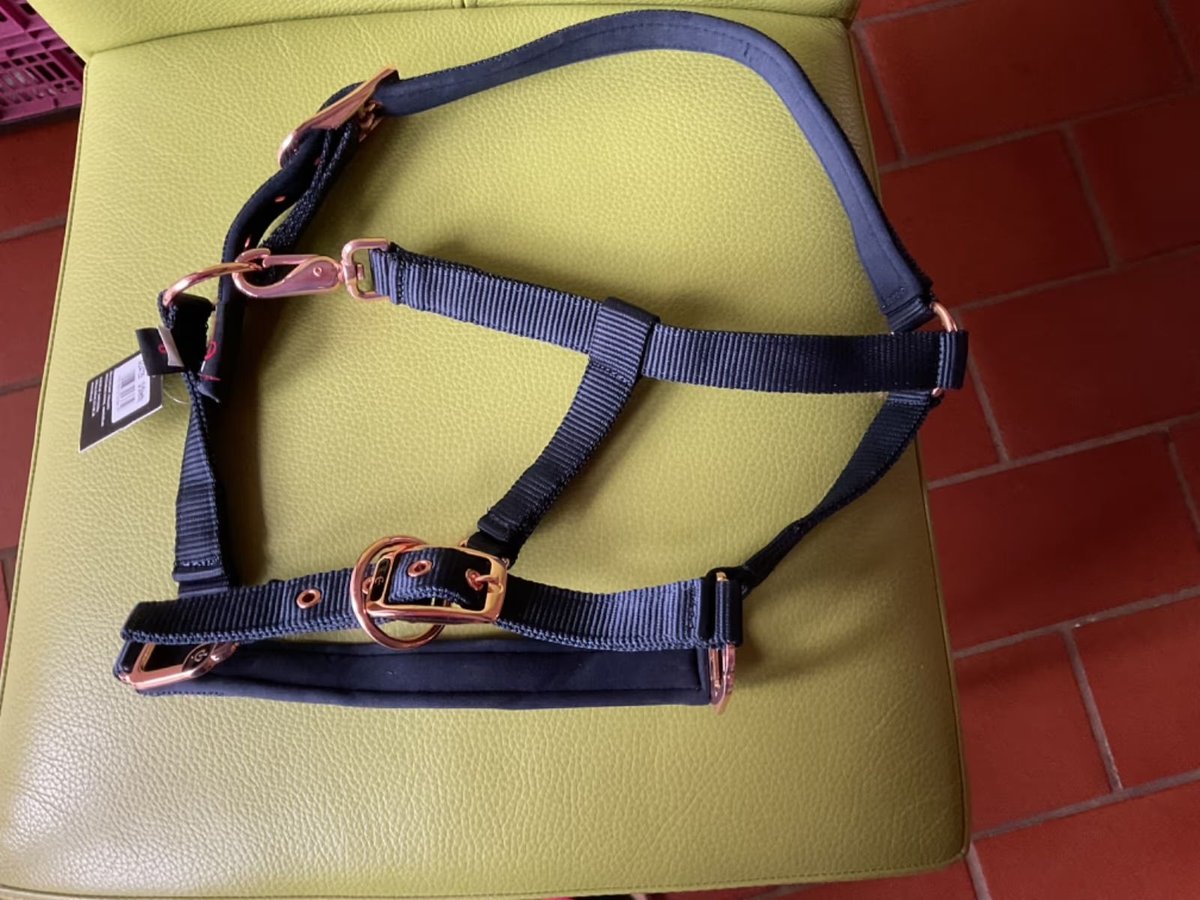 Halfter für ein Shetty, neu, Farbe blau/rose (nicht nur merken )