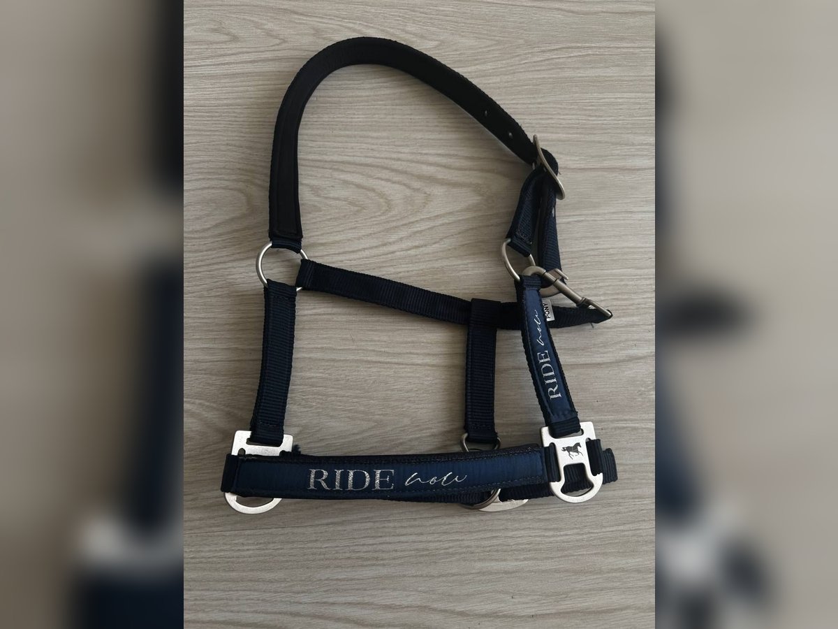 Halfter von RideNow