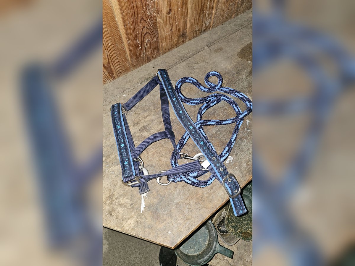 HKM Pony Halfter + Strick in Blau