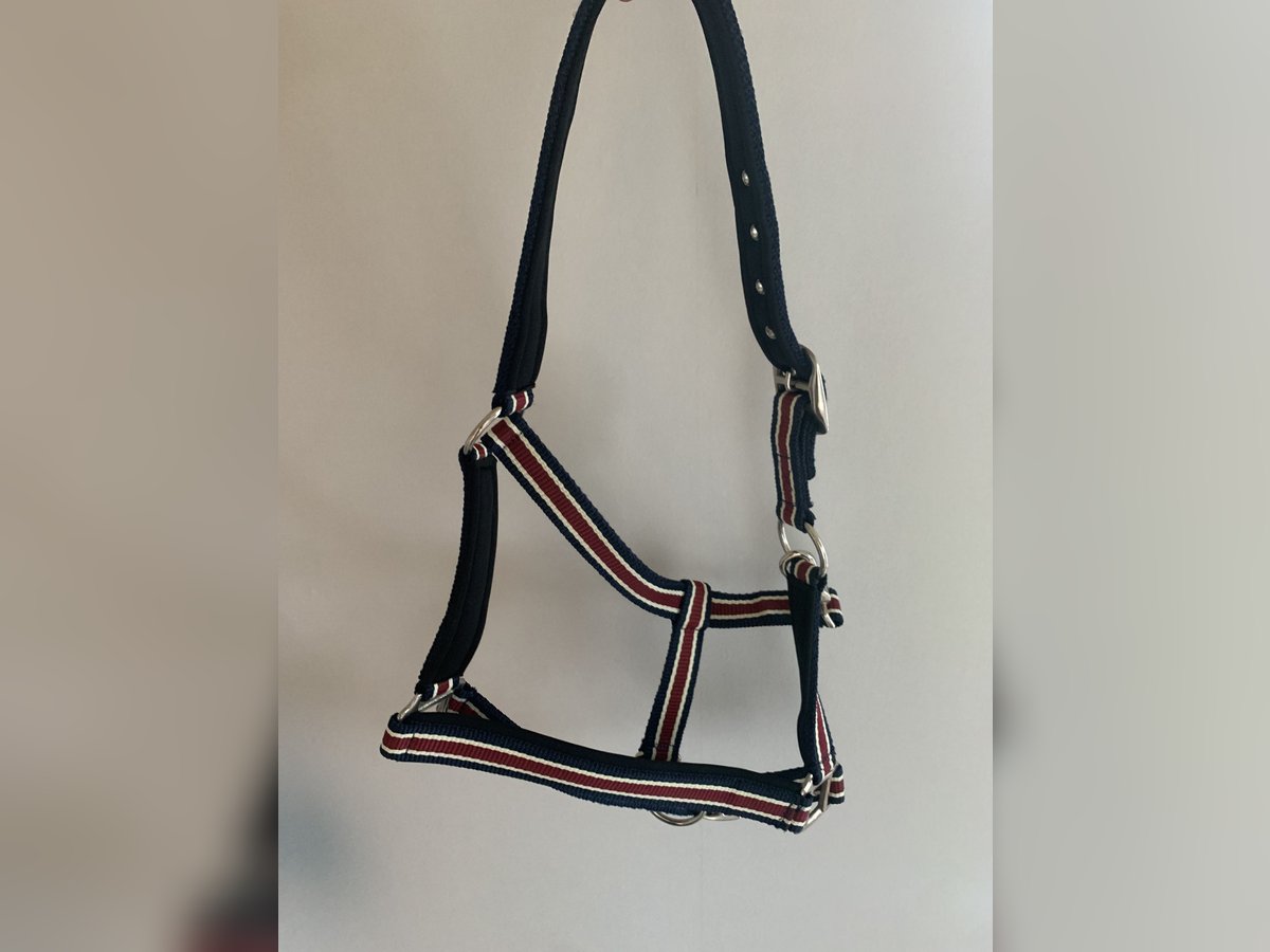 Pony Halfter neu 