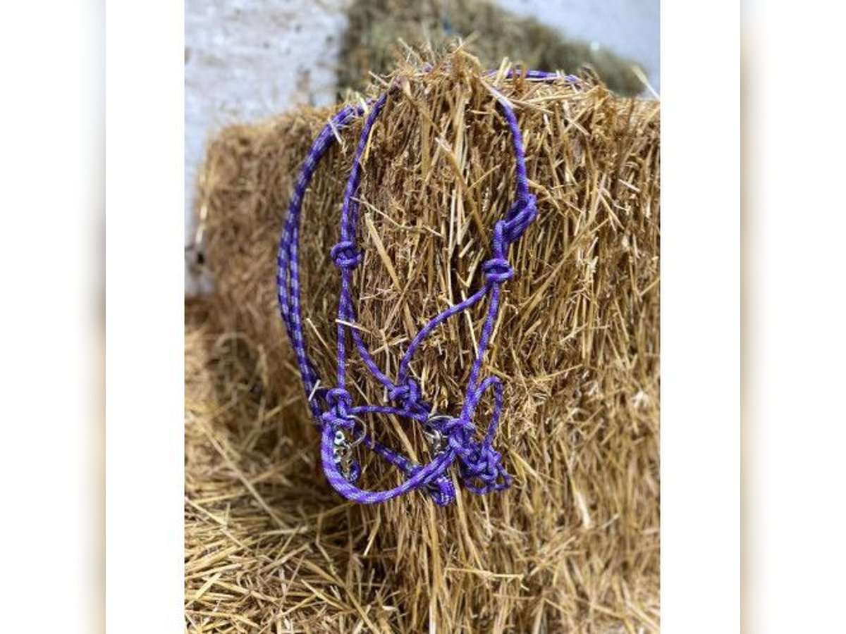 FREE RIDING Knotenhalfter mit Zügeln - PURPLE Knotenhalfter gebisslos UVP 39€