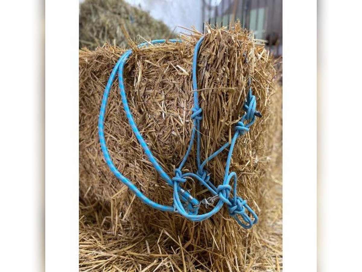 FREE RIDING Knotenhalfter + Zügeln ICY Knotenhalfter gebisslos UVP 39€