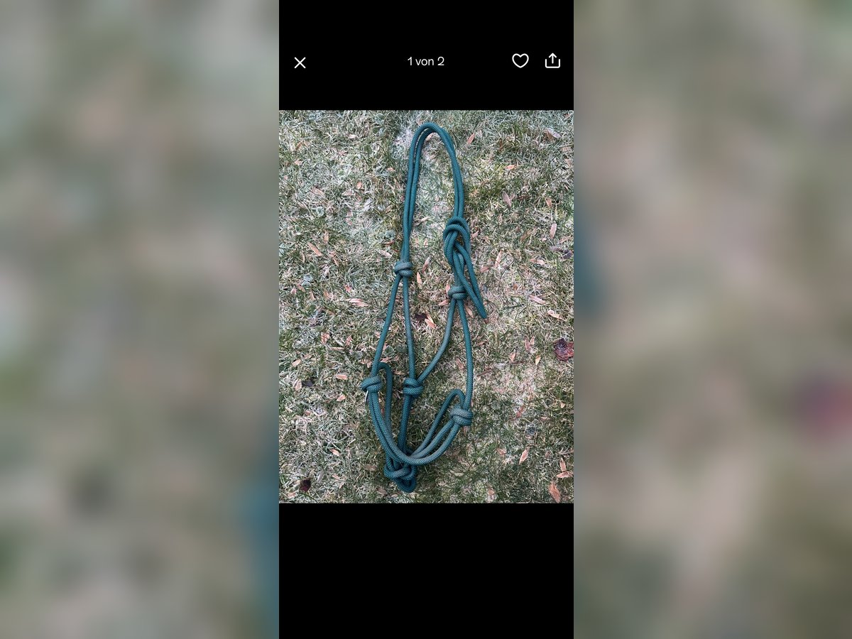 Knotenhalfter WB grün