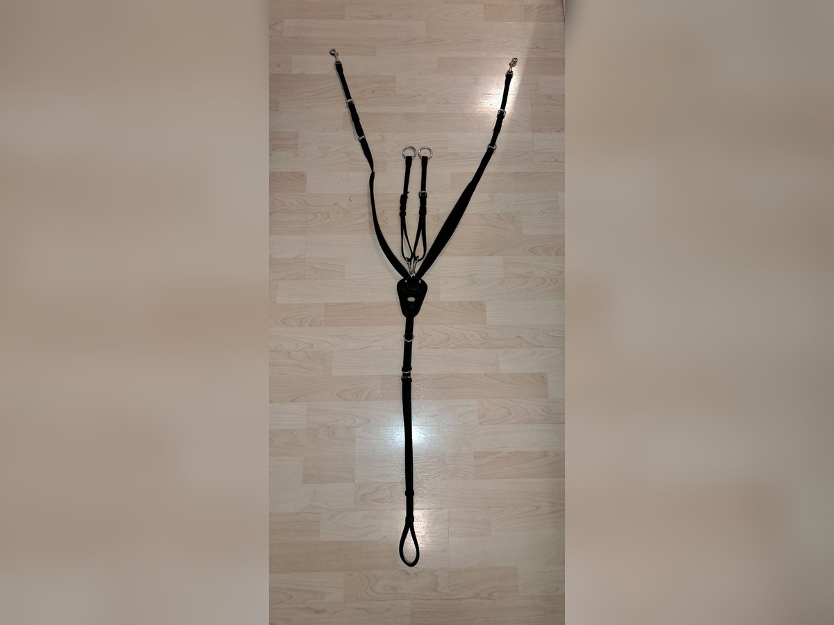 Kieffer Vorderzeug Jessica – wie neu, nur 1x anprobiert