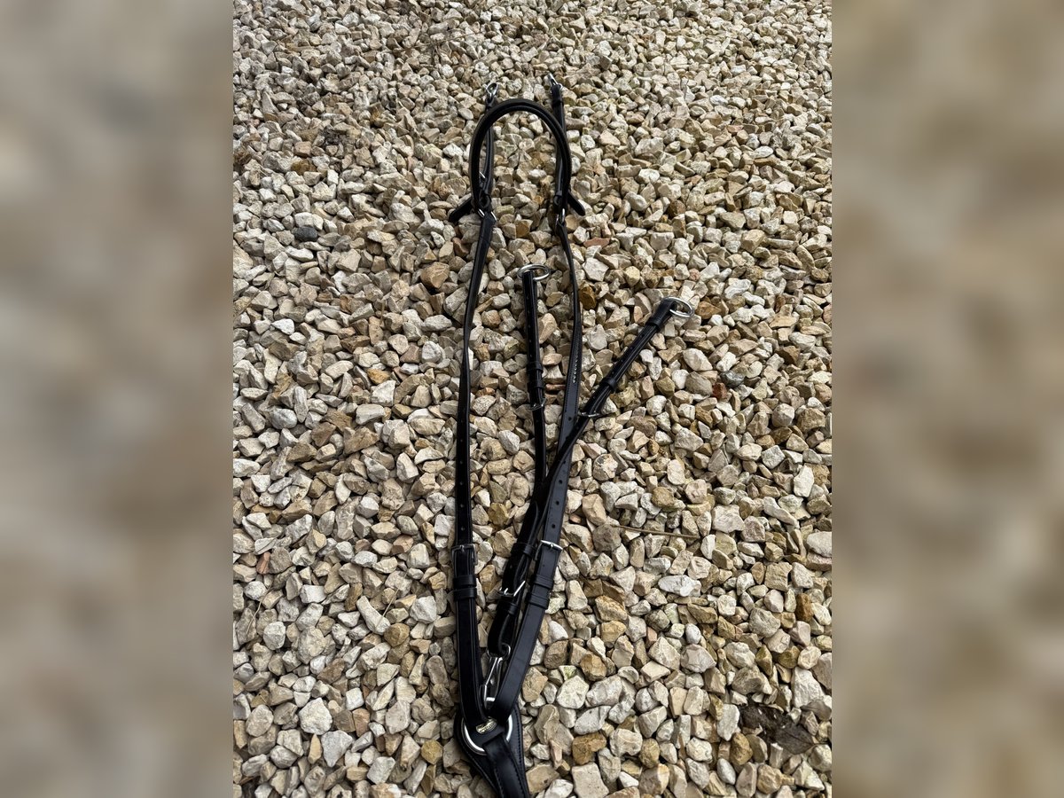 NEUES Schockemöhle Sports Vorderzeug FULL