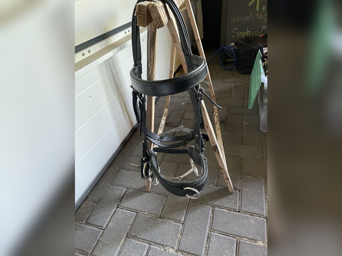 Busse Kappzaum mit Gebiss (wenn gewünscht)