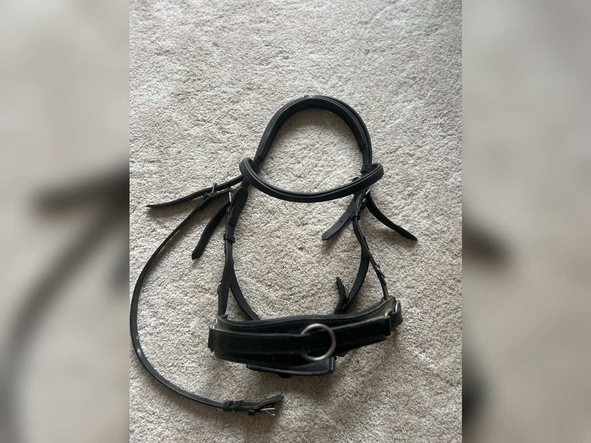 Claridge House Kappzaum Leder schwarz Full/WB