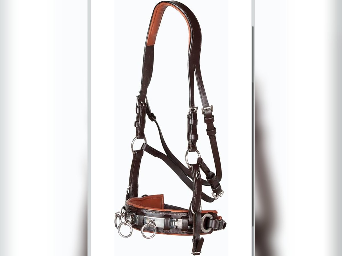 Heinick-Reitsport Profi Leder KAPPZAUM